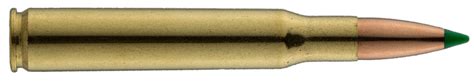 Sologne 30 06 Subsonic Centerfire Cartridges