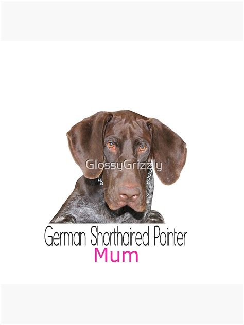 Glossy Grizzly German Shorthaired Pointer Mum Poster For Sale By Glossygrizzly Redbubble