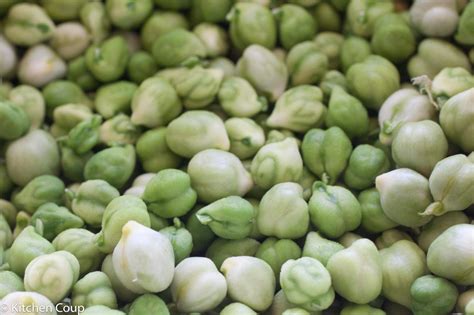 How to make crispy roasted garbanzo beans. Fresh Garbanzo Bean Hummus - Kitchen Coup
