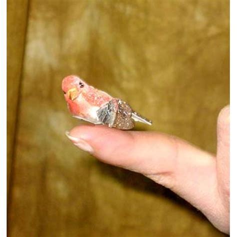 Finger Bird Pk Magic Stevens Magic Emporium