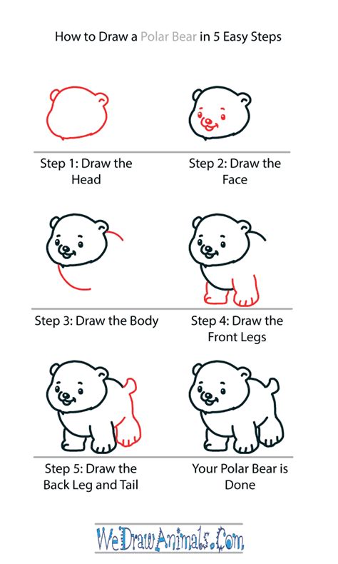 How To Draw A Cute Baby Polar Bear