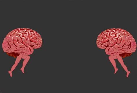Two Images Of The Human Brain One Is Red