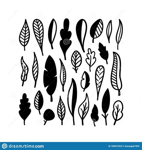 Collection Set Of Hand Drawn Leaf Natural Leaves Isolated Black