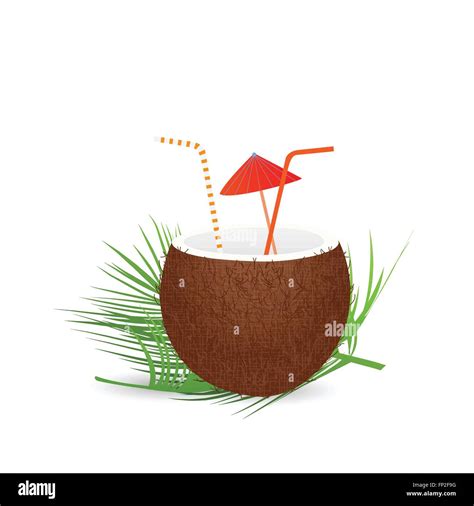 Ilustración De Una Bebida De Coco Aislado Sobre Un Fondo Blanco Imagen