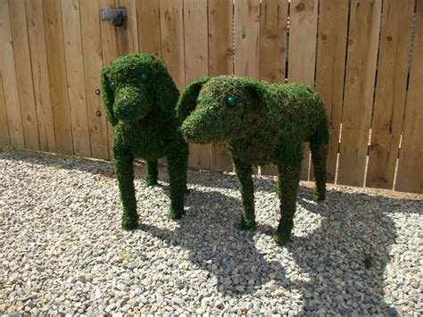 We did not find results for: Custom Made Topiary Forms | Disney, Horse & Dinosaur Topiaries