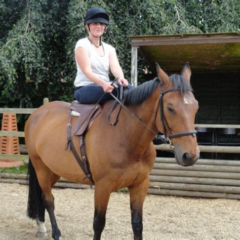 Training Moor Farm Stables