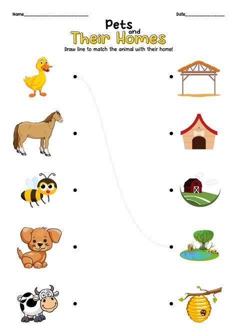 Printable Preschool Worksheets Pet Animal