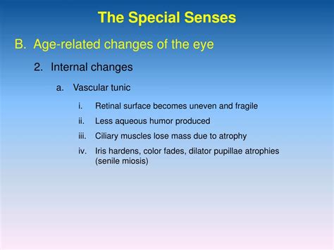 Ppt The Special Senses Powerpoint Presentation Free Download Id873900