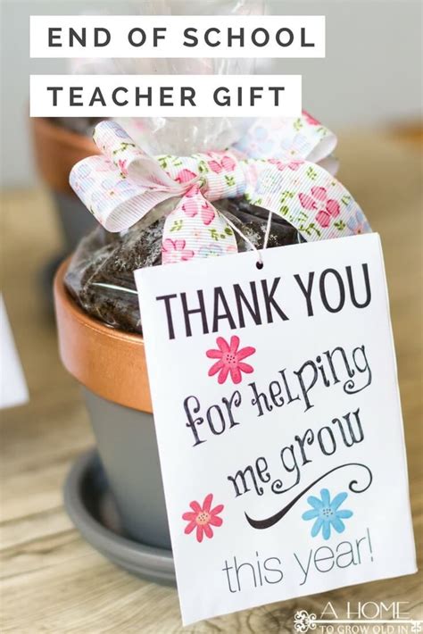 What teacher doesn't love a cute gift with a fun printable telling them how amazing they are?! DIY Teacher Appreciation Gifts for End of School Year ...