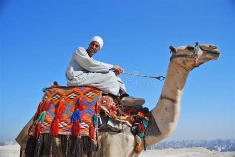 Hombre Egipcio En Un Paseo Del Camello Imagen Editorial Imagen De