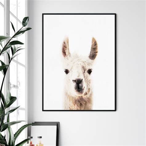 Llama Wall Art Nursery Print And Poster Farm Animals Llama Canvas