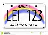 License Plate Template Vector