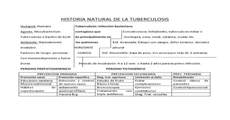 Historia Natural De La Tuberculosis Pdf Document