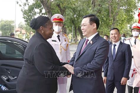 Vietnam Attaches Special Importance To Traditional Ties With Mozambique