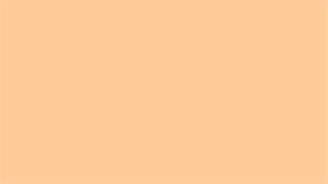 🔥 Free Download 2560x1440 Peach Orange Solid Color Background