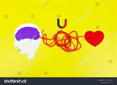 Human Brain Magnet Heart Metaphor Symbolise Stock Photo 2278423087