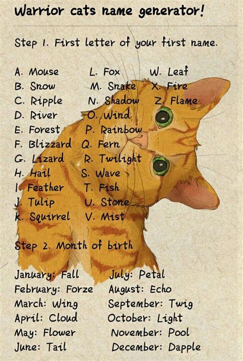 Warrior Cats Name Generator Quiz Care About Cats