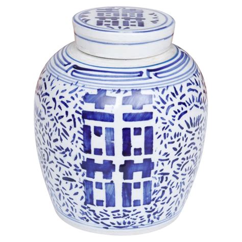 Paire De Pots à Gingembre Bleu Et Blanc En Céramique De La Chinoiserie