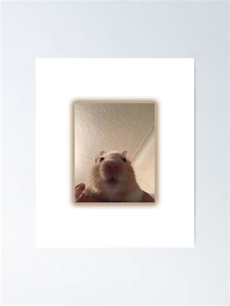 Facetime Hamster Poster For Sale By Artme10 Redbubble