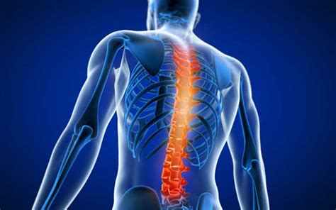 Spine Surgery In India Cost Effective Surgery At Top Accredited Hospital