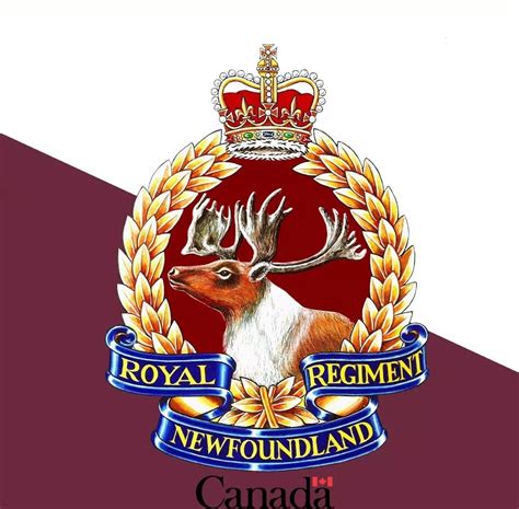2nd Battalion The Royal Newfoundland Regiment Corner Brook Nl