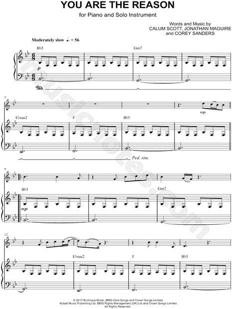 Share, download and print free sheet music for piano, guitar, flute and more with the world's largest community of sheet music creators, composers, performers, music teachers, students, beginners, artists and other musicians with over 1,000,000 sheet piano. Calum Scott "You Are the Reason - Piano Accompaniment ...