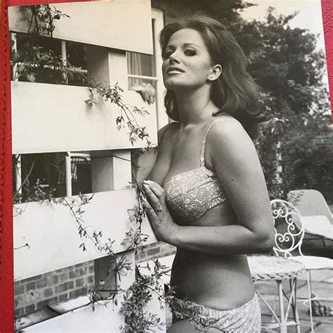She is the younger sister of dame joan collins , and the daughter of joe collins, a theatrical agent. 356 best Jackie Collins images on Pinterest | Jackie collins, Joan collins and Breast cancer
