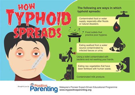 Fever (900%), abdominal pain (56%) and diarrhoea (44. Typhoid - Facing the Fever - Positive Parenting