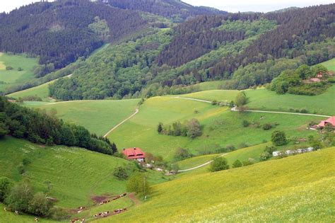 Tagged black forest, environment, germany, nature, new seven wonders of nature, photos, pics, places, schwarzwald, travel. Black Forest Germany | Desktop Wallpapers