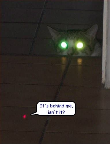 Be Afraid Red Dot Lolcats Lol Cat Memes Funny Cats Funny