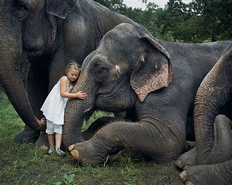 Girl And Elephant Catholic Concern For Animals