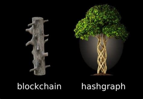 What is the problem that blockchain attempts to solve. Hedera Hashgraph - A Quick and Very Simple Explanation ...
