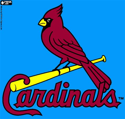 List 105 Pictures Pictures Of The Stlouis Cardinals Completed