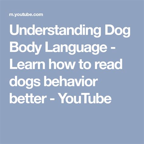 Understanding Dog Body Language Learn How To Read Dogs Behavior