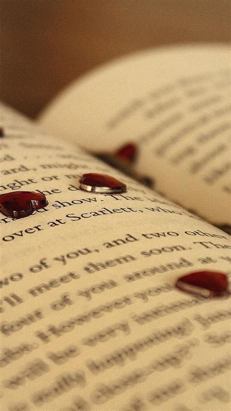 I Love Books Wallpapers Top Free I Love Books Backgrounds