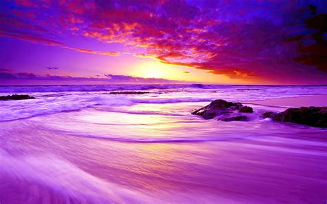 Anime Original Sky Cloud Scenic Beach Sunset In Cool Anime Purple