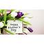 Happy Mothers Day Word In Purple White Tulip Flowers Background HD 