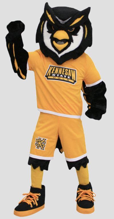 Kennesaw State University Scrappy The Owl Mascot Mascot Costumes