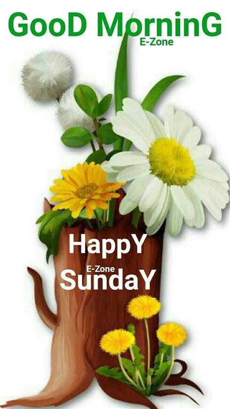 Happy Sunday Wallpapers Top Free Happy Sunday Backgrounds