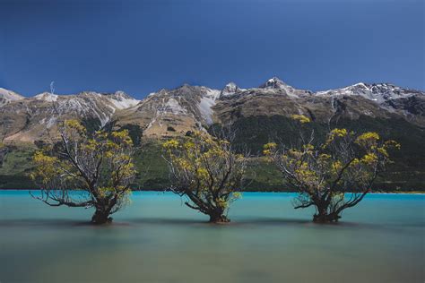 Willow Trees Of Glenorchy Watch My Video On Capturing This Flickr