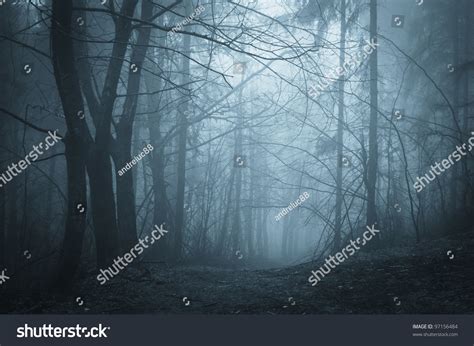 Dark Path Through Mysterious Forest Night Stock Photo 97156484