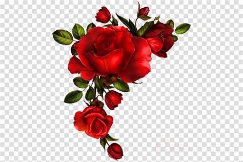 Corner Decoration With Roses Png Clipart Picture Clip Art Borders Images