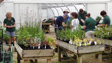 Social And Therapeutic Horticulture Helmsley Walled Garden