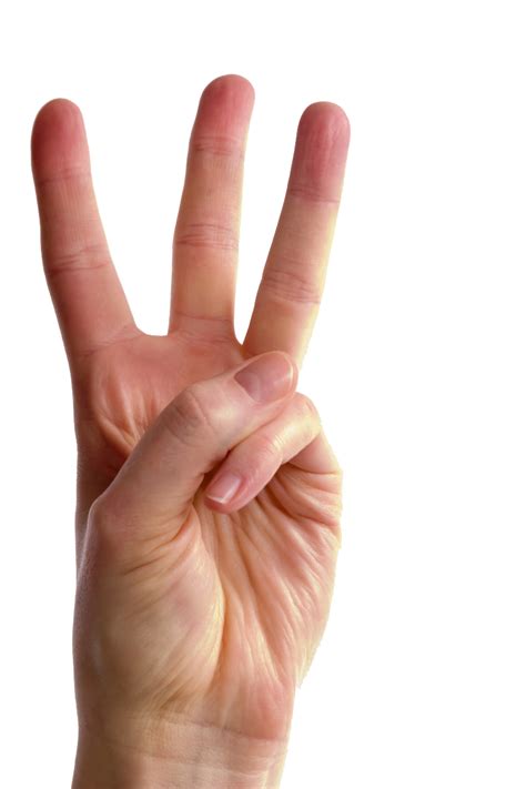Free Fingers Png Transparent Images Download Free Fingers Png