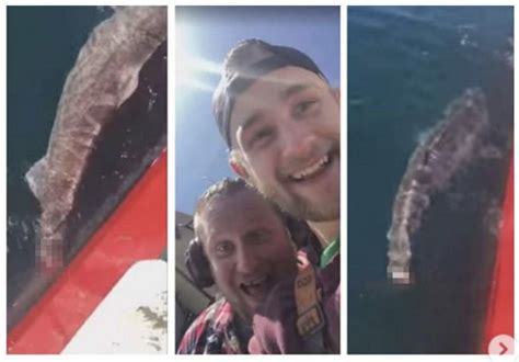 Jason Momoas Posts Message To Two Fishermen Who Cut Off Sharks Tail