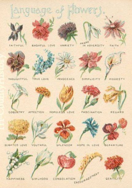 It was published in 2011 by ballantine books. Language of flowers | Language of flowers, Flower meanings ...