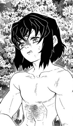 Demon Slayer Manga Panels Inosuke Kimetsu No Yaiba Chapter