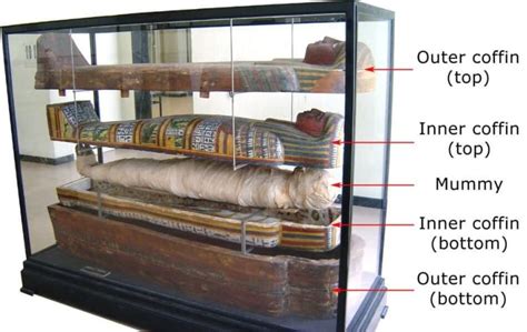 20 amazing facts about ancient egypt jellyquest