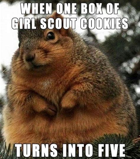 246 Best Gs Cookies Images On Pinterest Girl Scouts Gs
