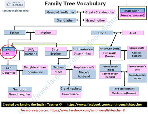 It is likely very easy to talk about your family tree in your native language but are you able to do the same when speaking in. Family Tree Vocabulary - Learn English